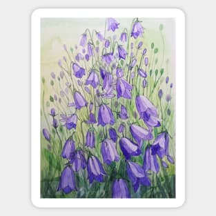 Purple harebells watercolour painting Sticker